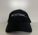 Front Logo Cap